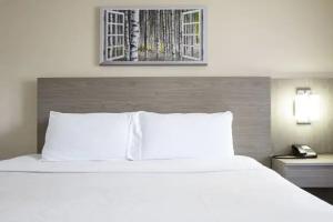 Hotel Aspen Flagstaff/ Grand Canyon InnSuites, Flagstaff