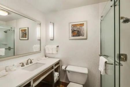 Hilton Garden Inn Flagstaff - 9