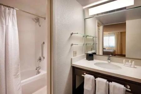 Fairfield by Marriott Anaheim Resort - 57