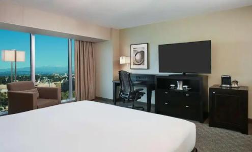 Hilton Anaheim - 74