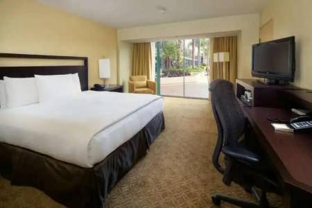 Hilton Anaheim - 79