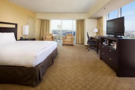 Hilton Anaheim - 88