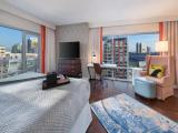 Double Studio Suite