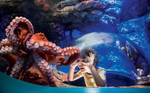 Holiday Inn Express San Diego SeaWorld, an IHG - 26