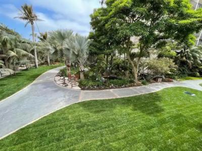 Catamaran Resort and Spa - 52