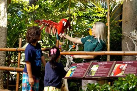 Catamaran Resort and Spa - 27