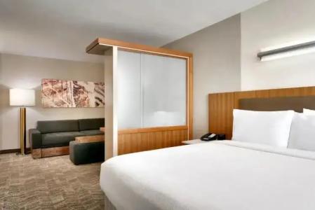 SpringHill Suites by Marriott Las Vegas Convention Center - 42