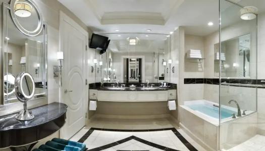 The Palazzo at The Venetian® - 35