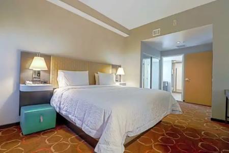 Hampton Inn Tropicana - 71