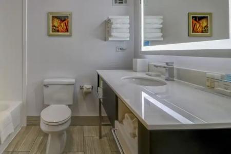 Hampton Inn Tropicana - 51