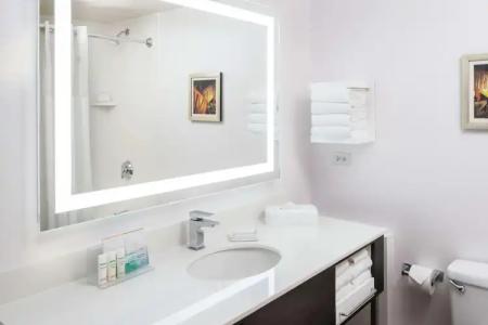 Hampton Inn Tropicana - 9