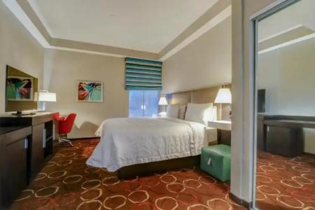 Hampton Inn Tropicana - 62