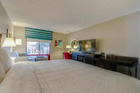 Hampton Inn Tropicana - 69