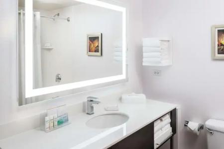 Hampton Inn Tropicana - 52