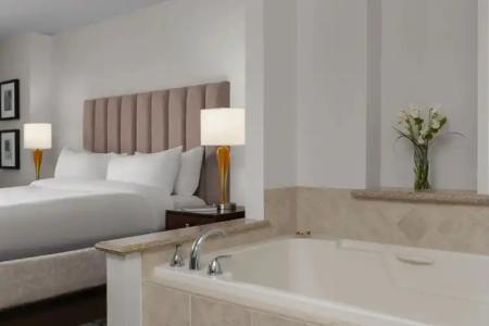 Marriott's Grand Chateau - 2