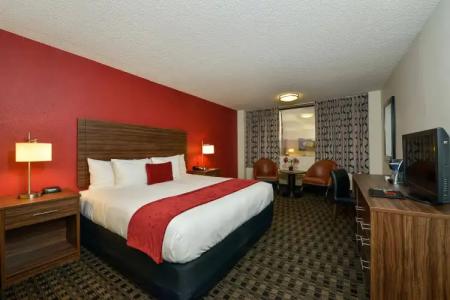 The D Las Vegas - 35