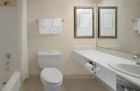 Circus Circus, Casino & Theme Park - 59