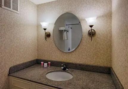 Flamingo Las Vegas & Casino - 71