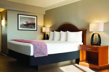 Flamingo Las Vegas & Casino - 74