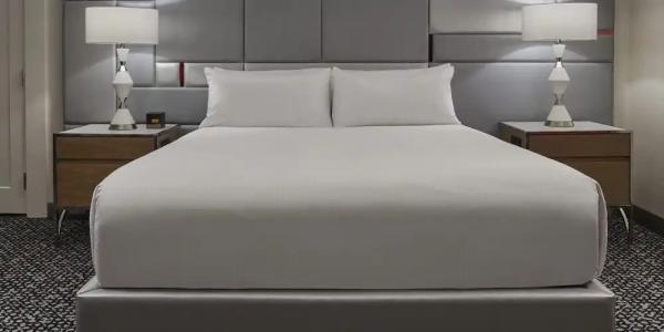 Flamingo Las Vegas & Casino - 48