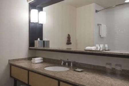 Renaissance New Orleans Arts Warehouse District - 61