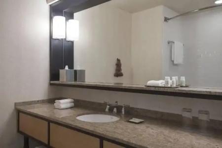 Renaissance New Orleans Arts Warehouse District - 94