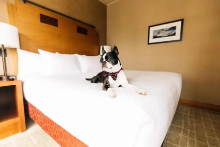 Grand Hyatt Seattle - 21