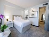 1 Bedroom Deluxe Double Junior Suite with view