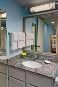 Sonesta ES Suites Houston Galleria - 34