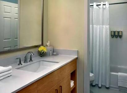 Sonesta ES Suites Houston Galleria - 53