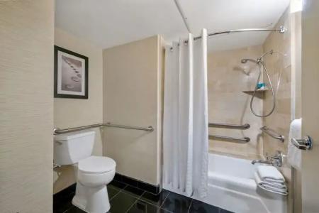 Hyatt Regency Houston - 9