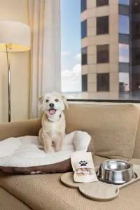 Hyatt Regency Houston - 12