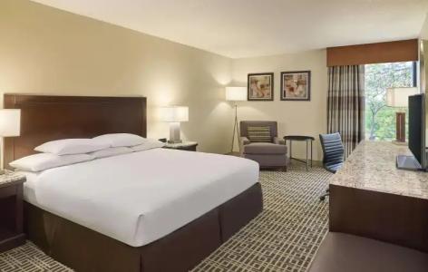 DoubleTree by Hilton Houston Intercontinental Airport - 5