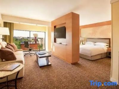 Hilton University of Houston - 38