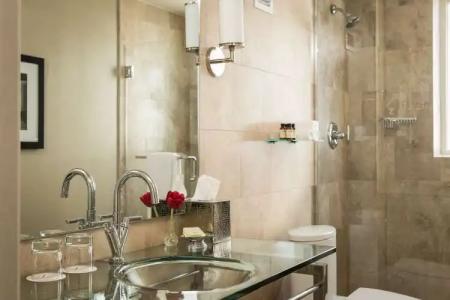 Zaza Houston Museum District - 9