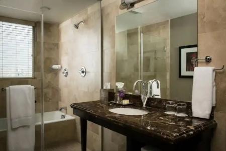 Zaza Houston Museum District - 34