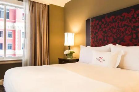 Zaza Houston Museum District - 3