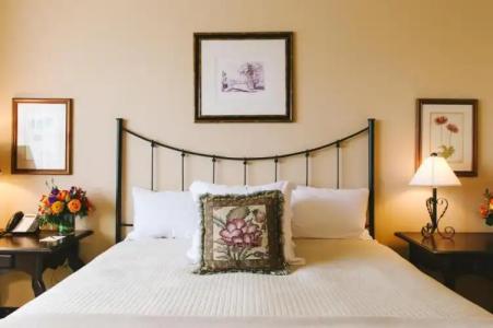 Granduca Houston - 66