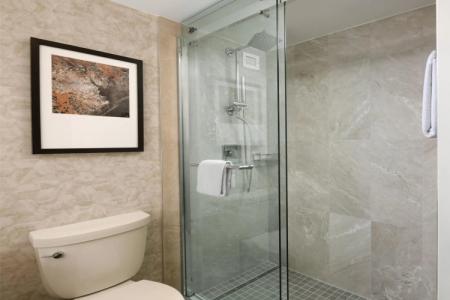 Houston Marriott Medical Center/Museum District - 7