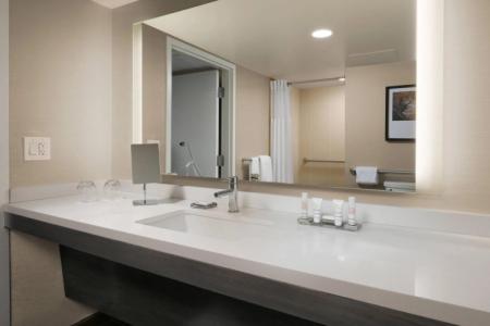 Houston Marriott Medical Center/Museum District - 6