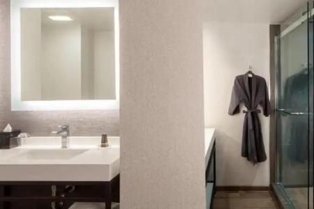 Dallas Marriott Downtown - 54