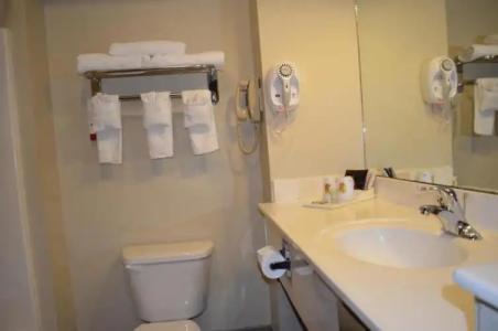 Super 8 by Wyndham Irving/DFW Apt/North - 52