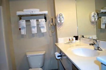 Super 8 by Wyndham Irving/DFW Apt/North - 65