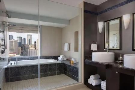 Hyatt Regency Dallas - 8