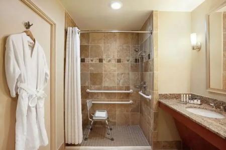 DoubleTree by Hilton Dallas - Love Field - 105