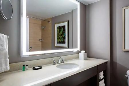 Sheraton Dallas - 46