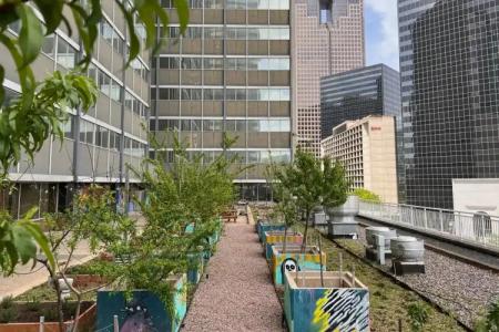 Sheraton Dallas - 34