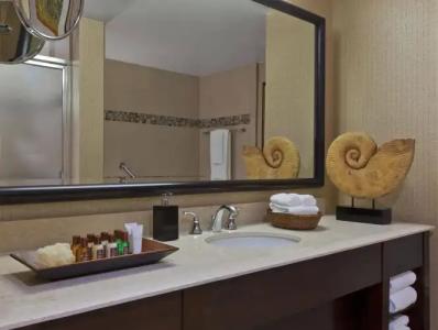 Sheraton Dallas - 31