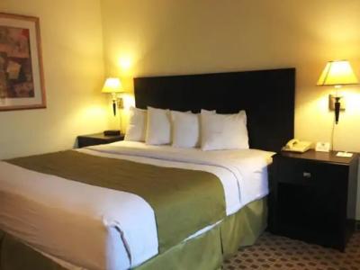 Days Inn by Wyndham Irving Grapevine DFW Airport North - 23