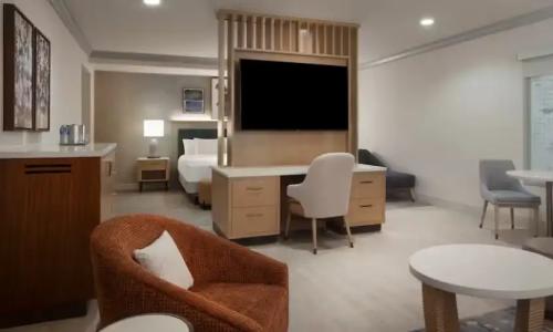 Hilton Anatole - 102